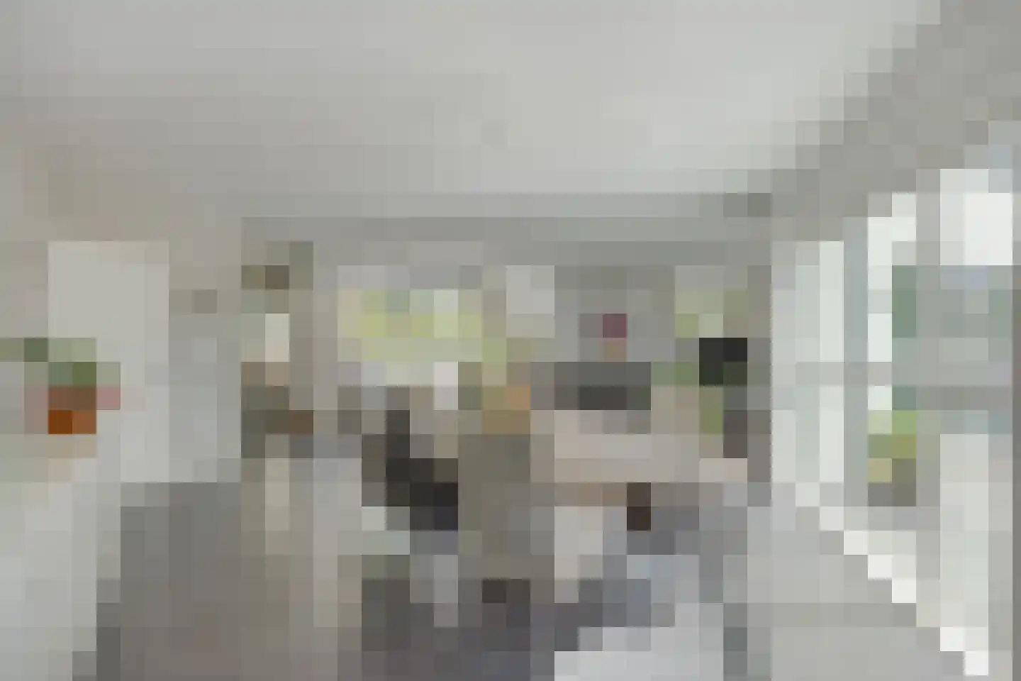 Lisdodde 8 Zeewolde thumbnail 10