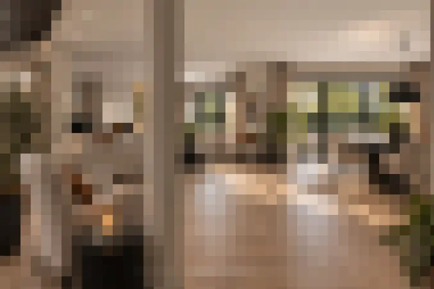 Lisdodde 8 Zeewolde thumbnail 15