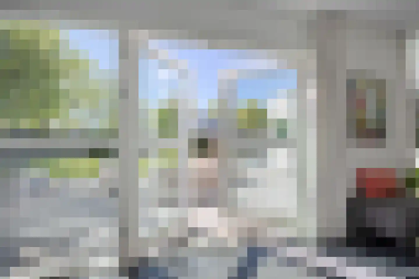 Lisdodde 8 Zeewolde thumbnail 20