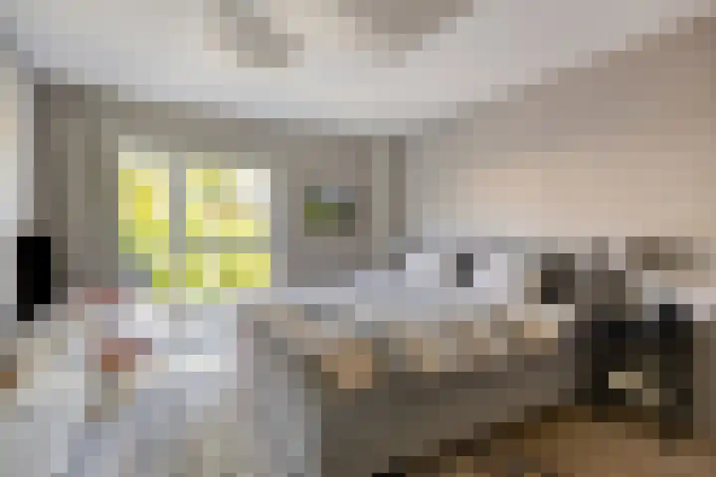 Lisdodde 8 Zeewolde thumbnail 26