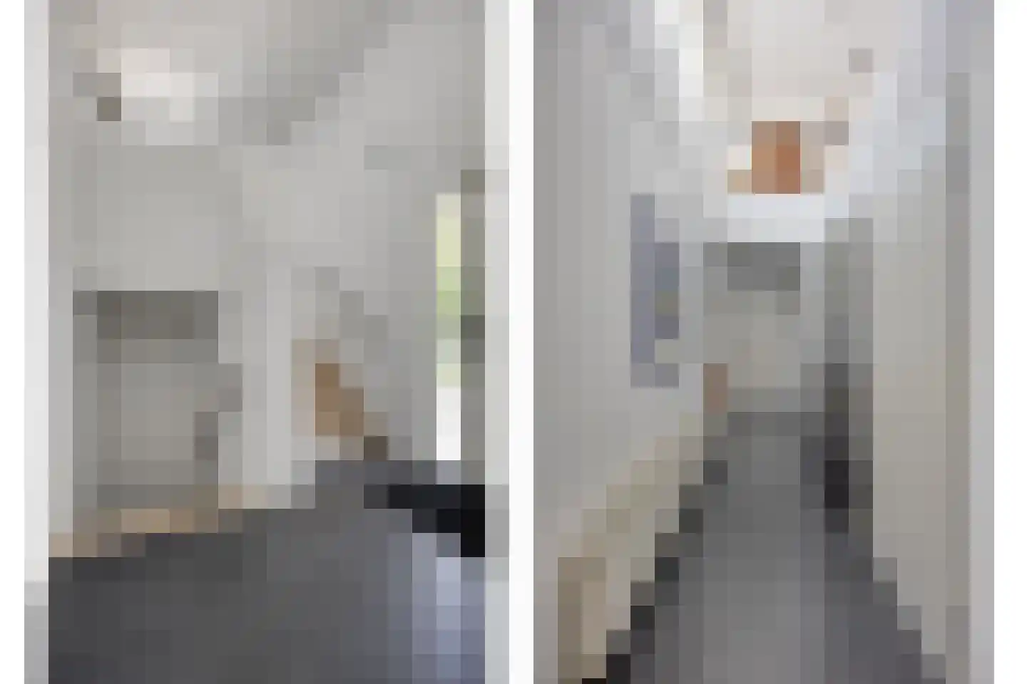 Lisdodde 8 Zeewolde thumbnail 32