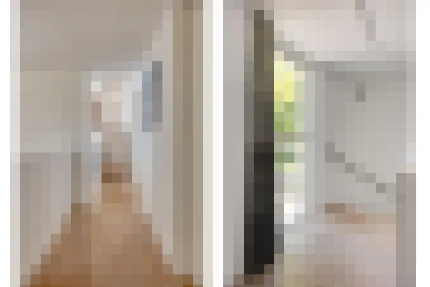 Lisdodde 8 Zeewolde thumbnail 33
