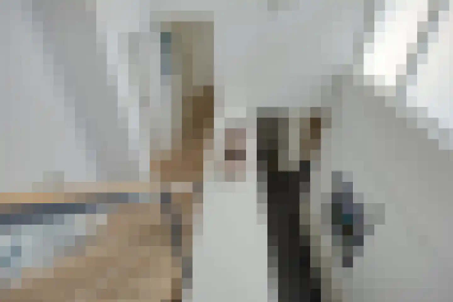 Lisdodde 8 Zeewolde thumbnail 34