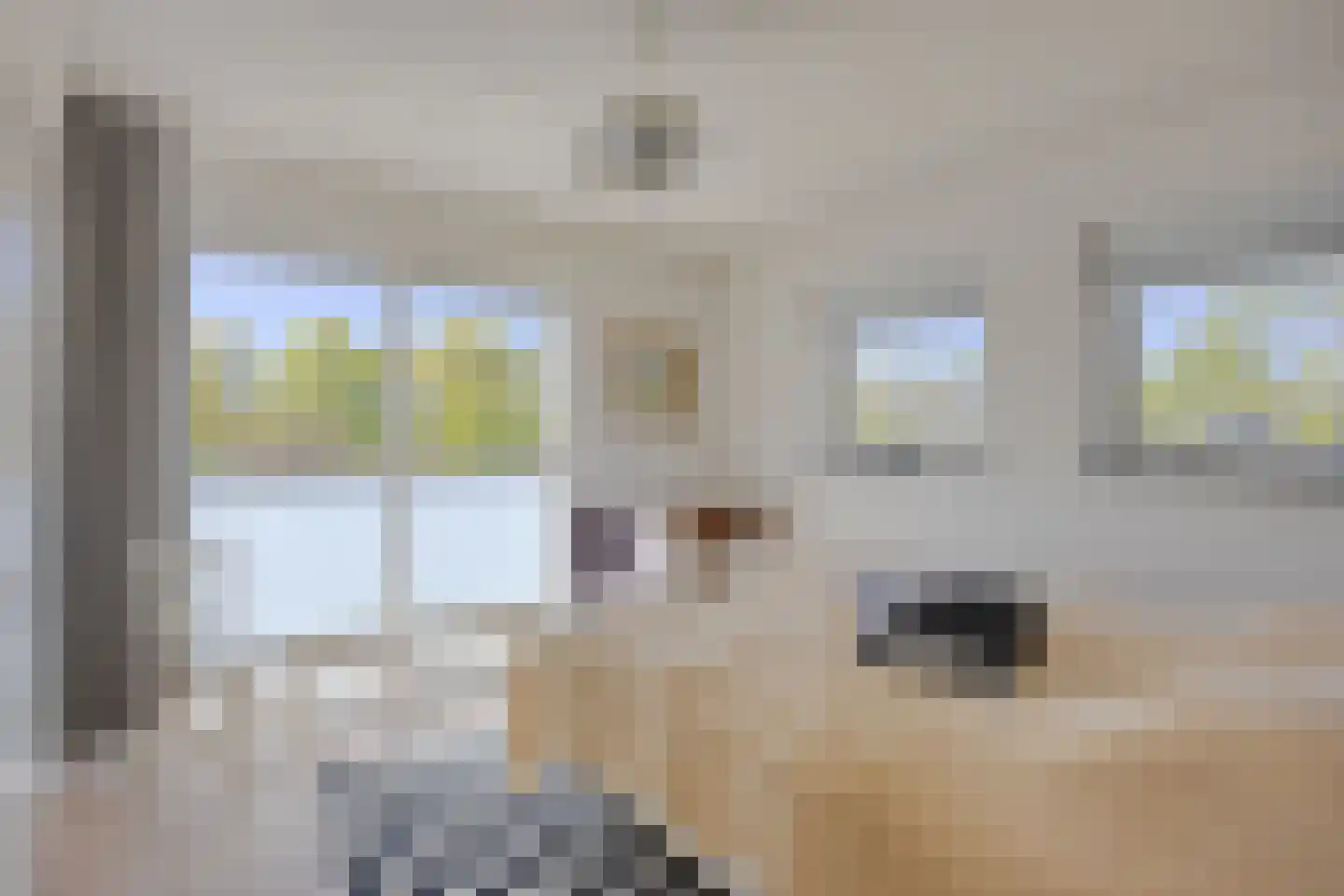 Lisdodde 8 Zeewolde thumbnail 36