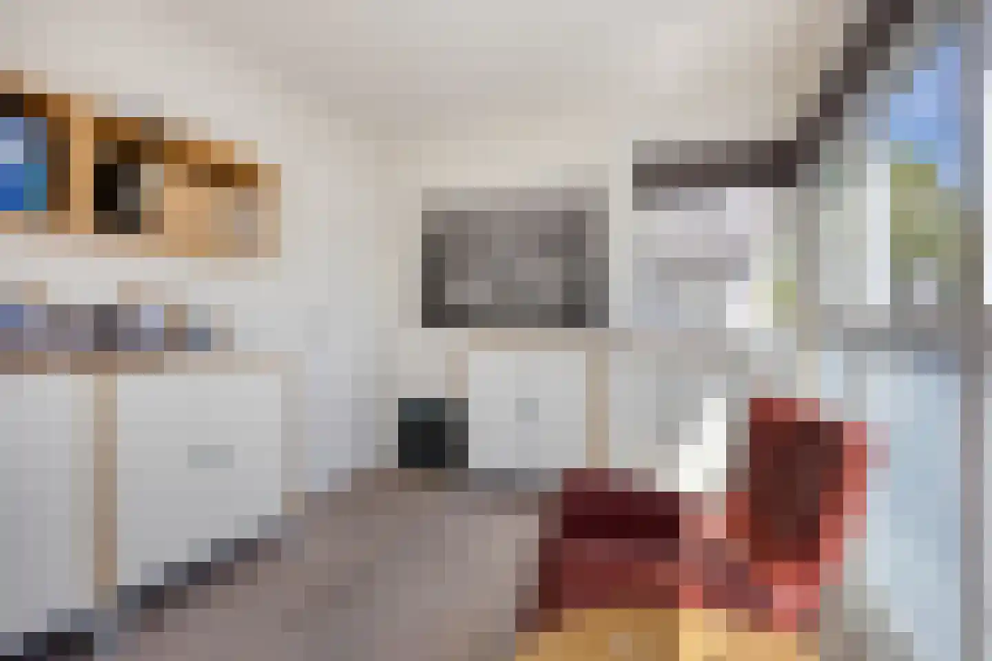 Lisdodde 8 Zeewolde thumbnail 41
