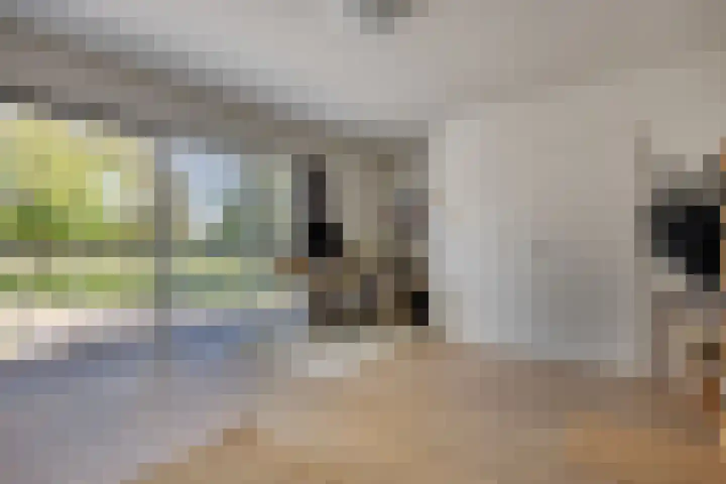 Lisdodde 8 Zeewolde thumbnail 42