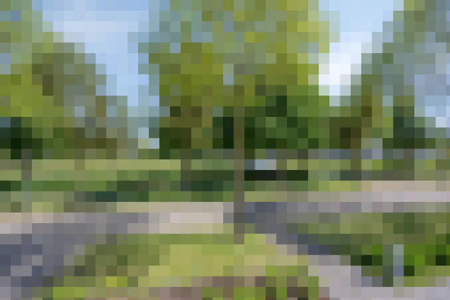 Lisdodde 8 Zeewolde thumbnail 48