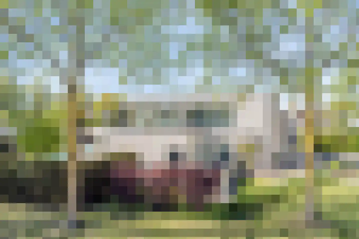 Lisdodde 8 Zeewolde thumbnail 51