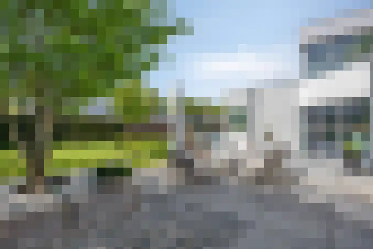 Lisdodde 8 Zeewolde thumbnail 63