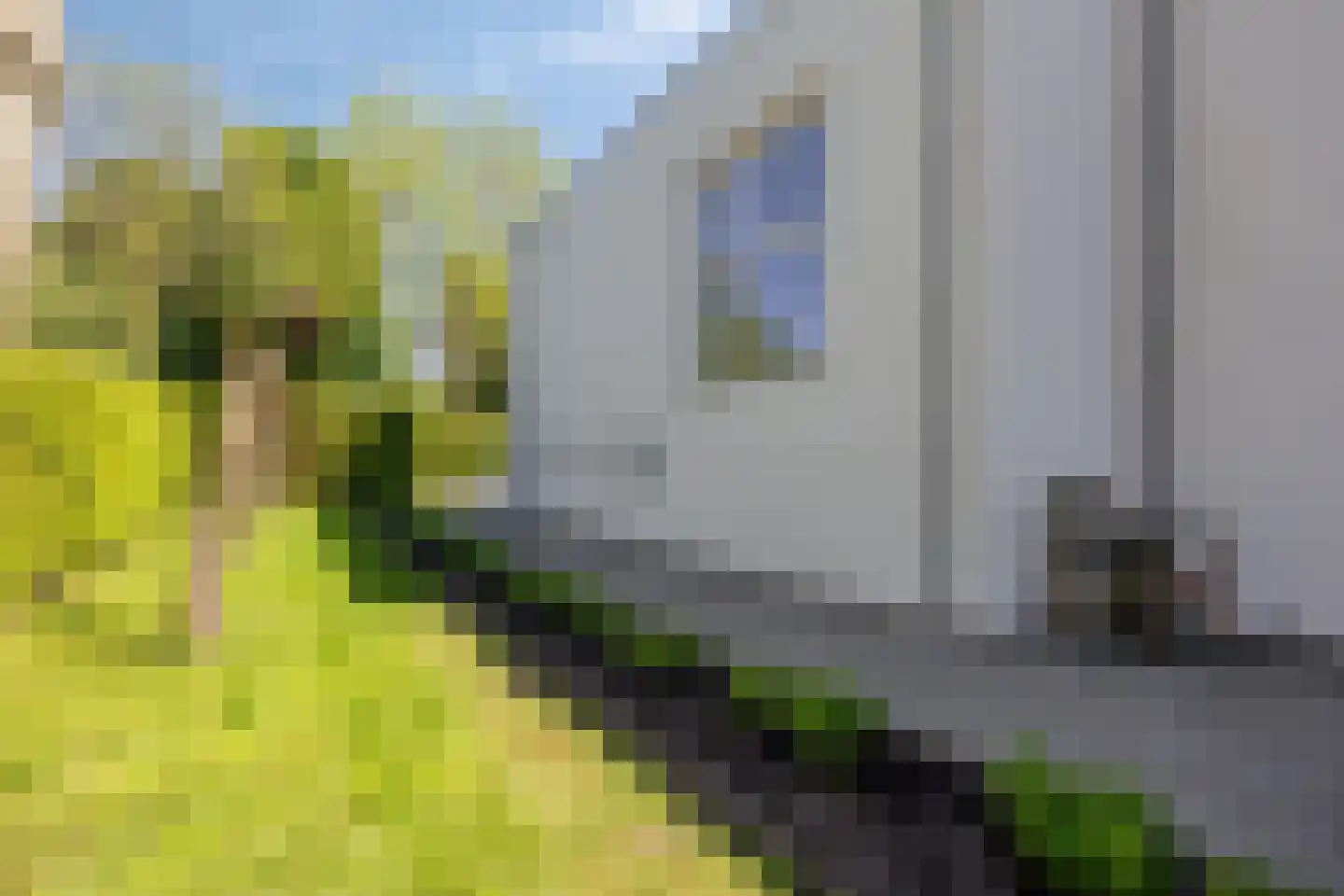 Lisdodde 8 Zeewolde thumbnail 65