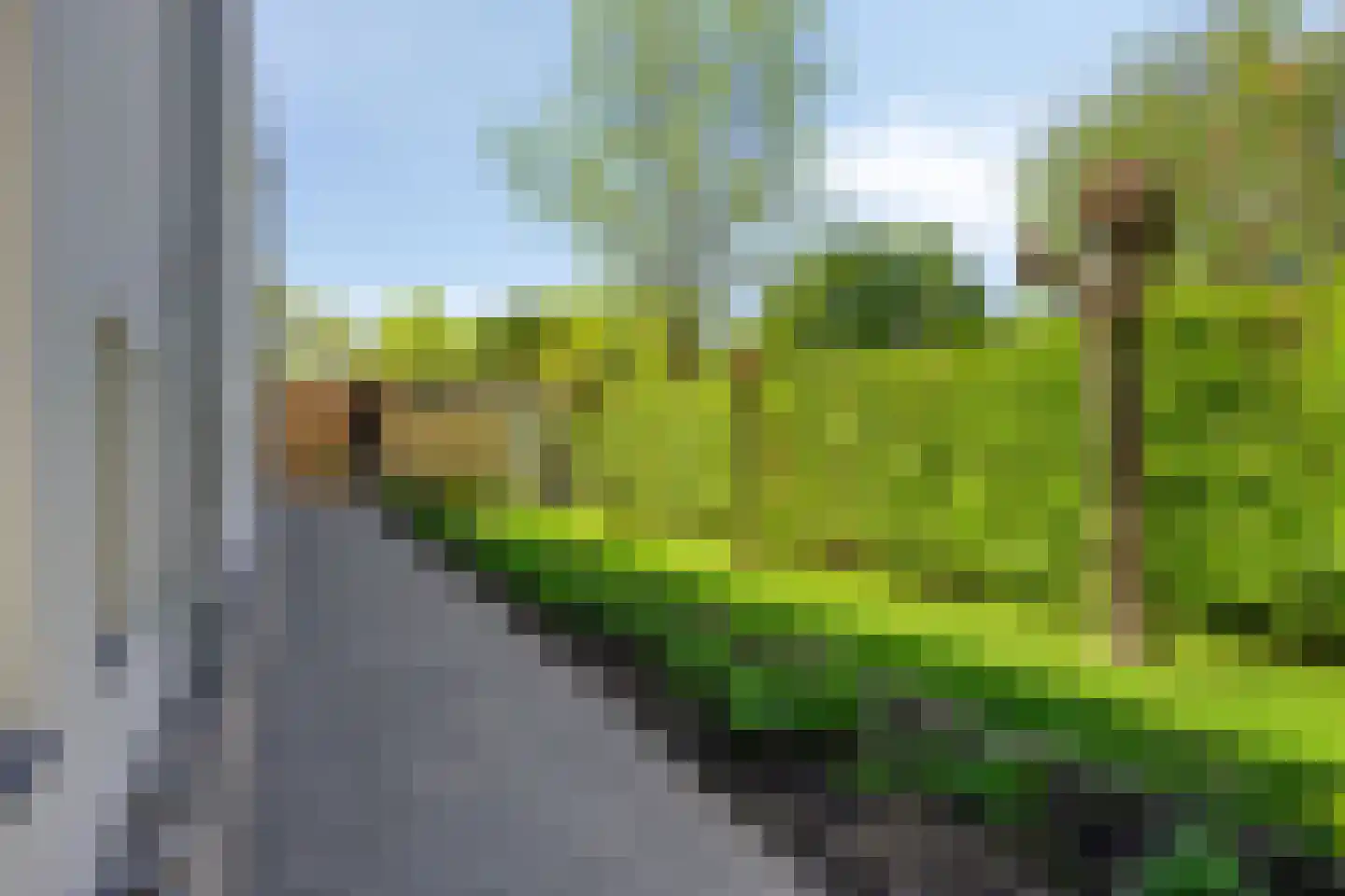 Lisdodde 8 Zeewolde thumbnail 66