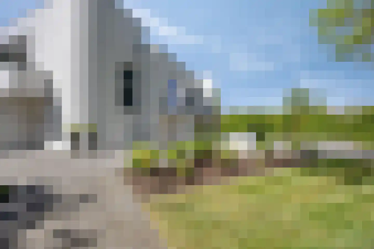 Lisdodde 8 Zeewolde thumbnail 67