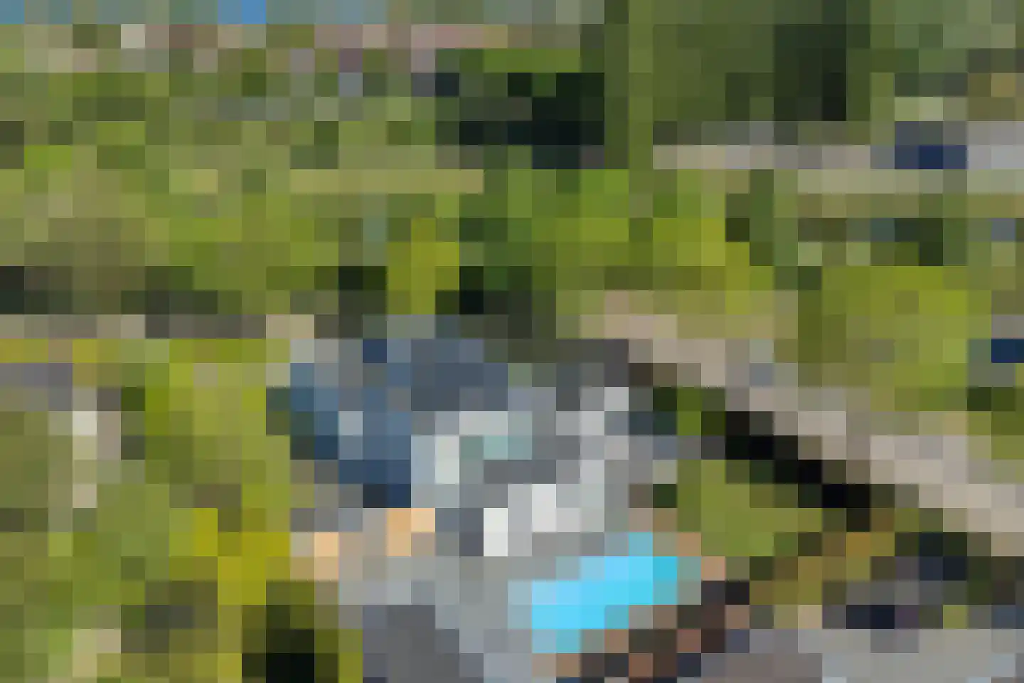 Lisdodde 8 Zeewolde thumbnail 73