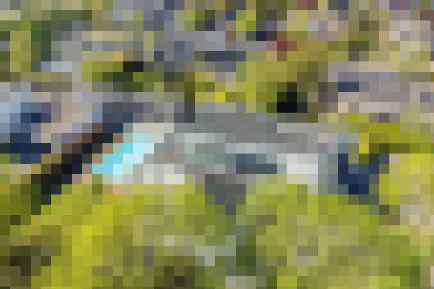 Lisdodde 8 Zeewolde thumbnail 74