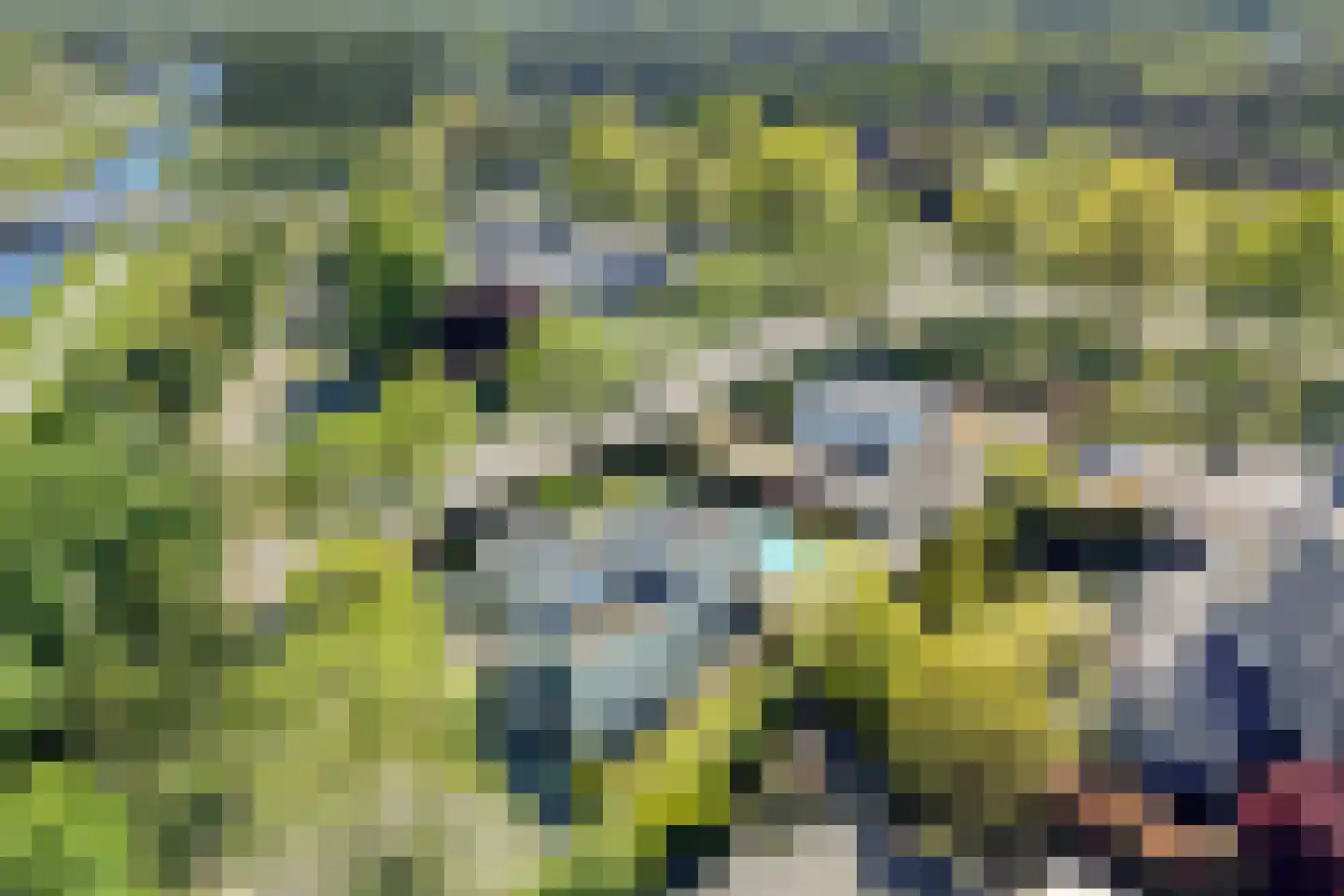 Lisdodde 8 Zeewolde thumbnail 77