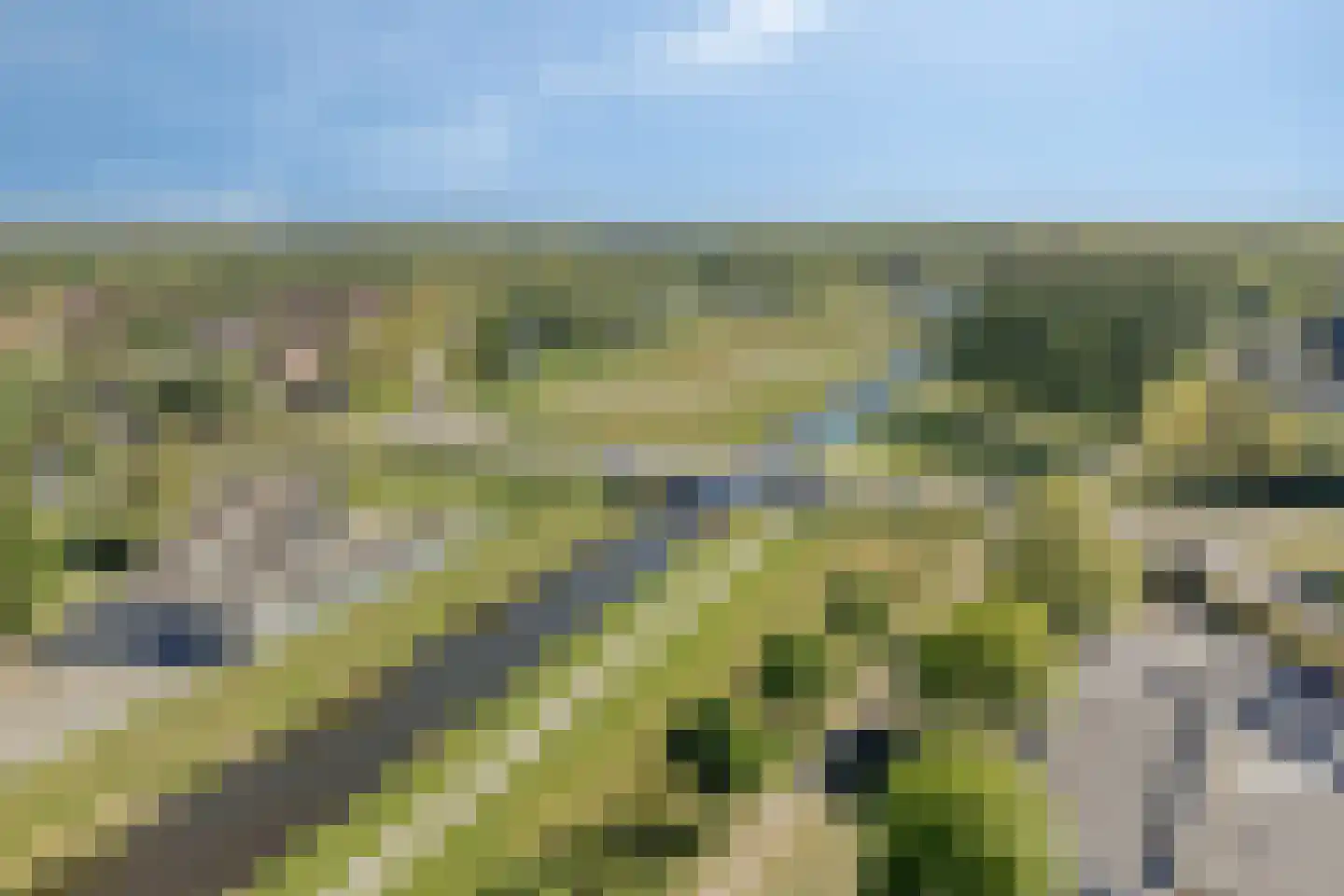 Lisdodde 8 Zeewolde thumbnail 79