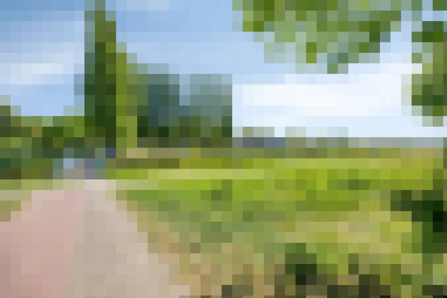 Lisdodde 8 Zeewolde thumbnail 83
