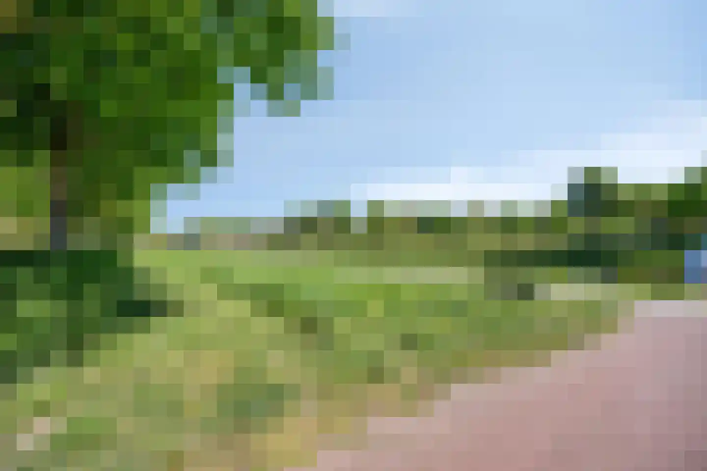 Lisdodde 8 Zeewolde thumbnail 84