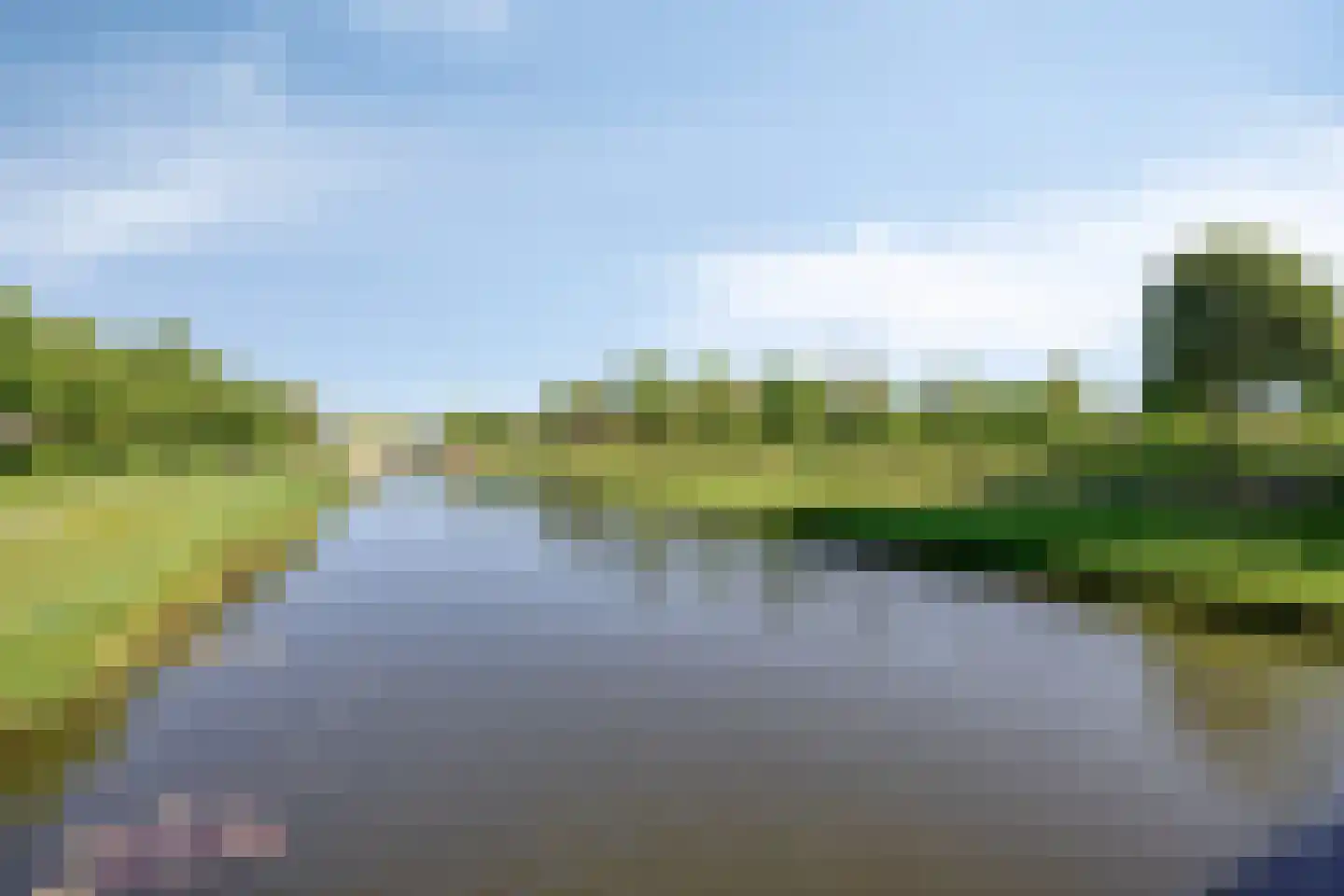 Lisdodde 8 Zeewolde thumbnail 85