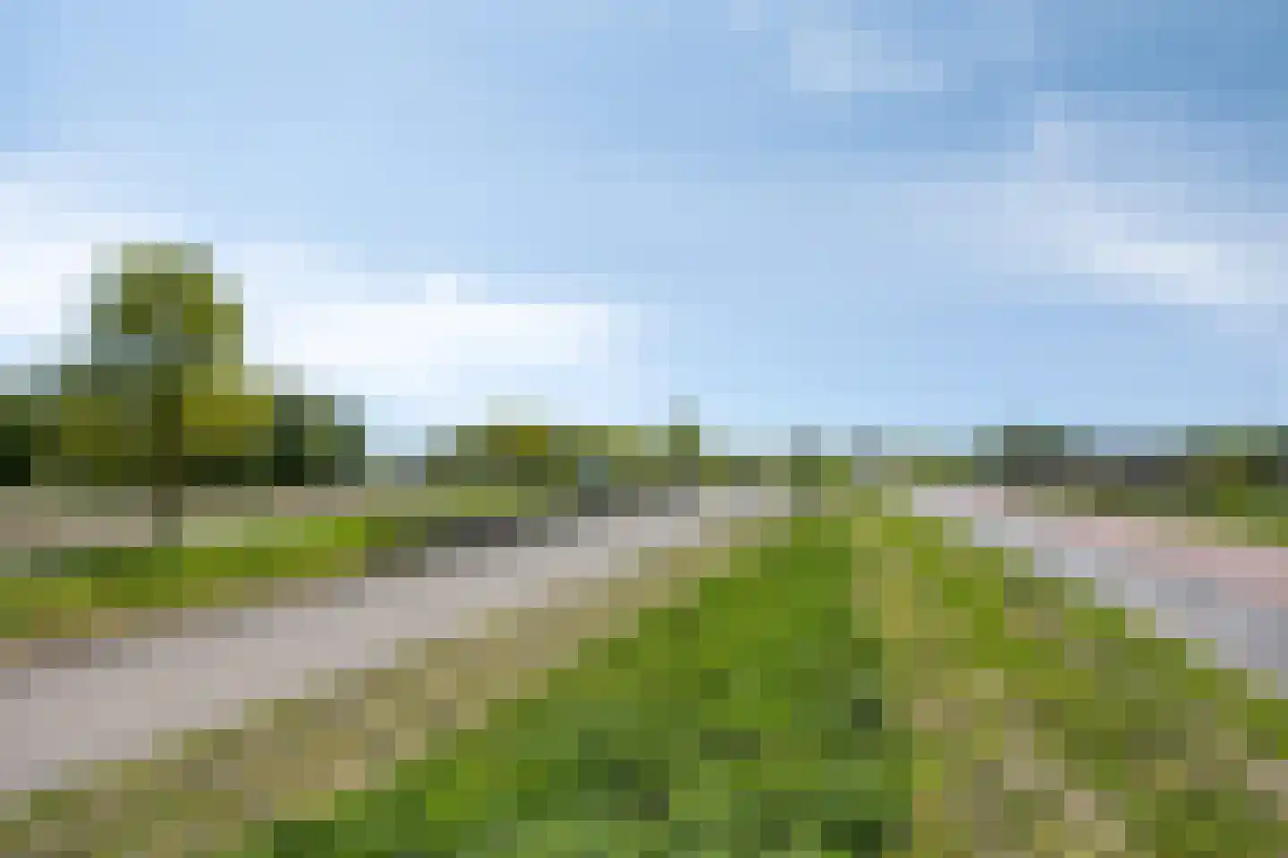 Lisdodde 8 Zeewolde thumbnail 86