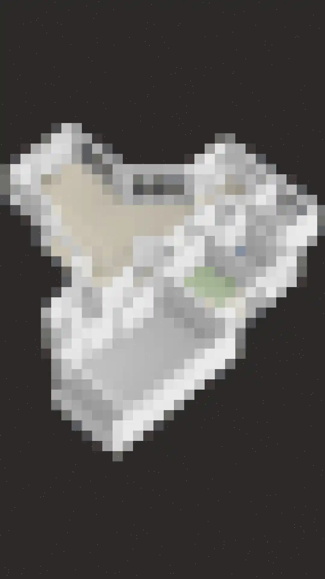 Lisdodde 8 Zeewolde thumbnail 88