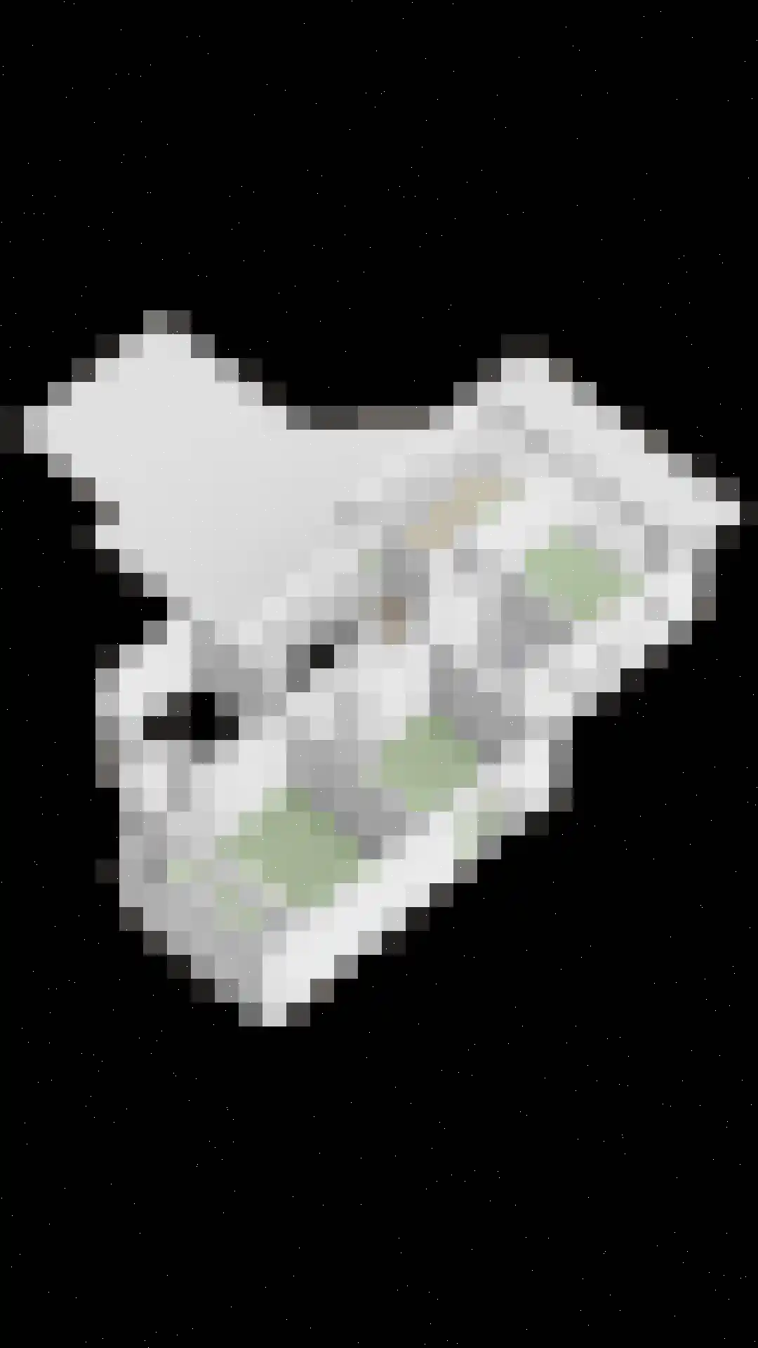 Lisdodde 8 Zeewolde thumbnail 90