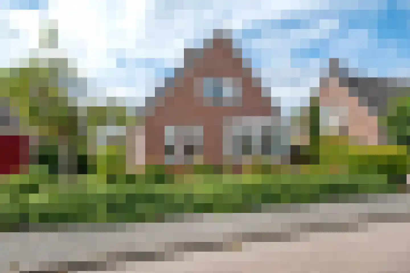 Lisdodde 80 Nieuw-Buinen