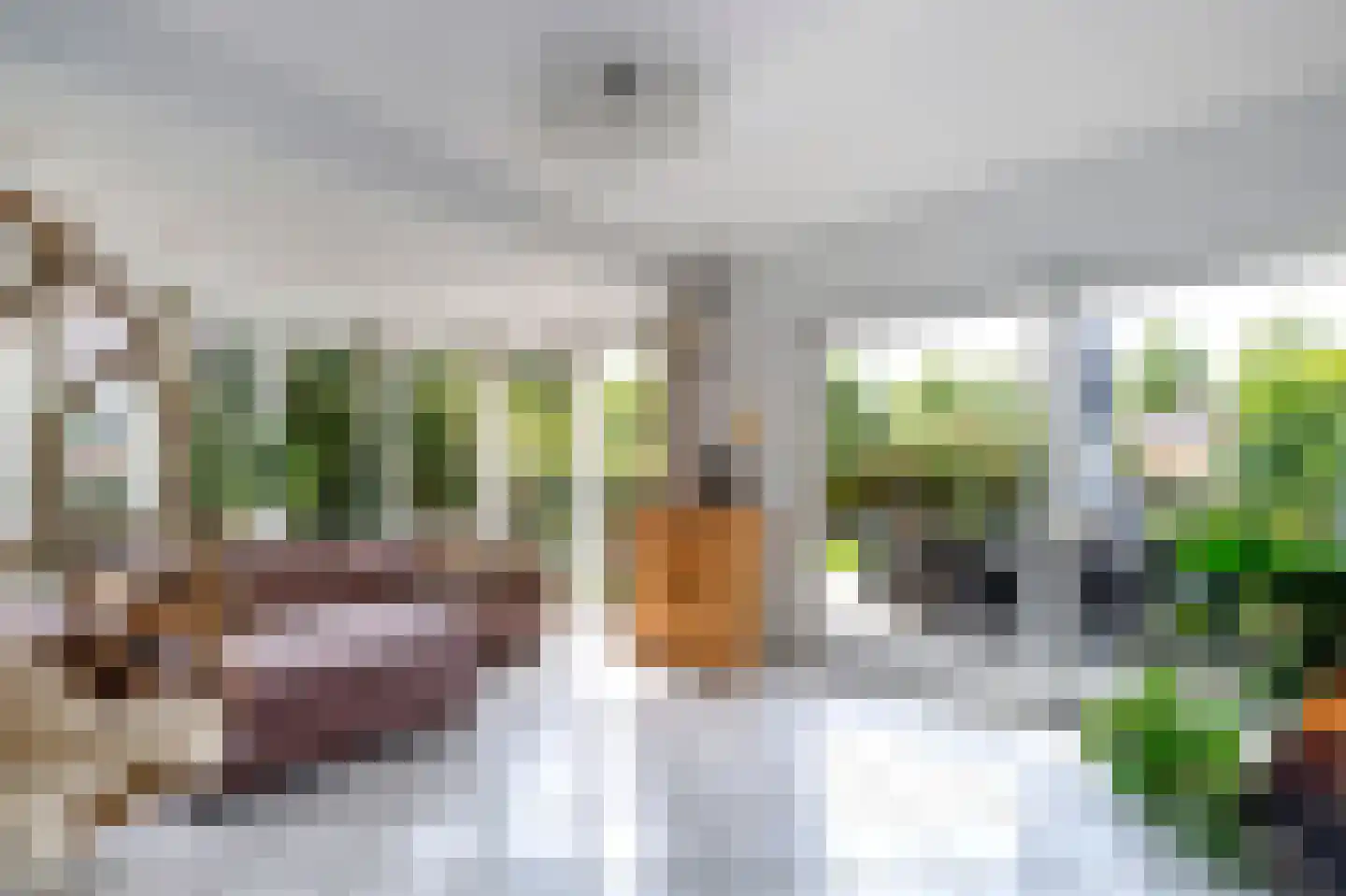 Lisdodde 80 Nieuw-Buinen thumbnail 10