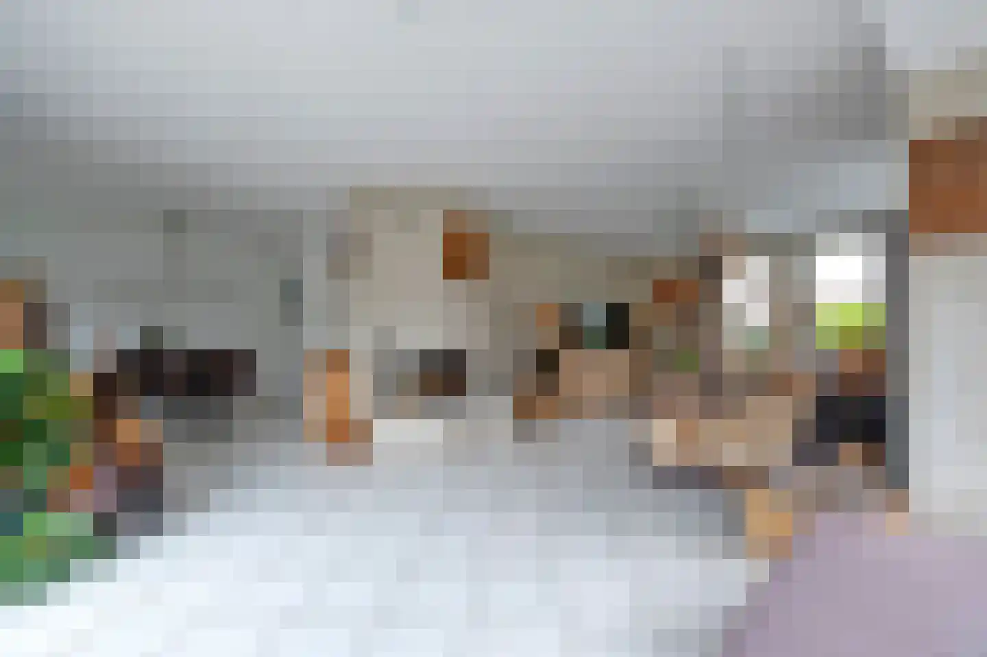 Lisdodde 80 Nieuw-Buinen thumbnail 11