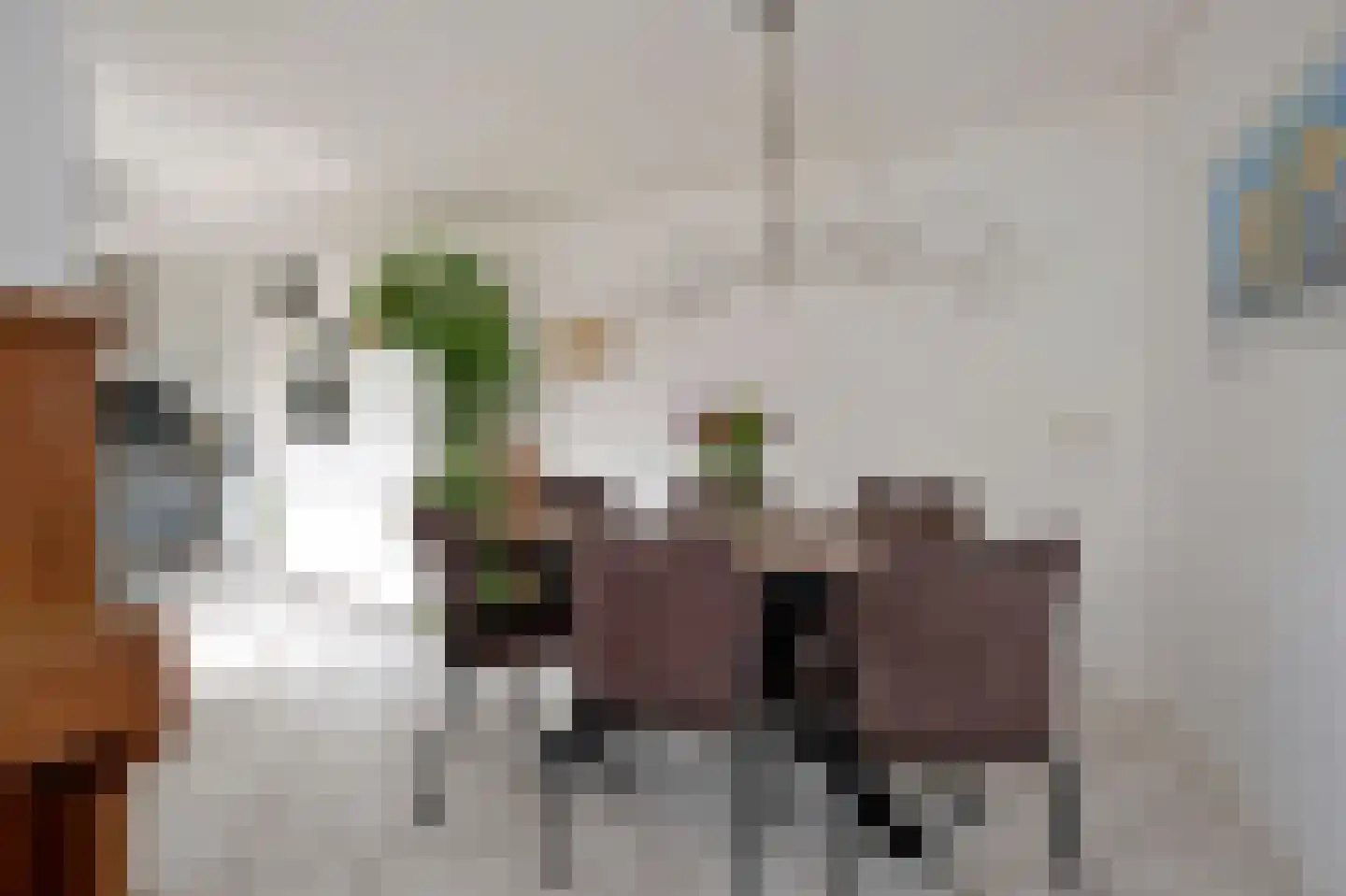 Lisdodde 80 Nieuw-Buinen thumbnail 12