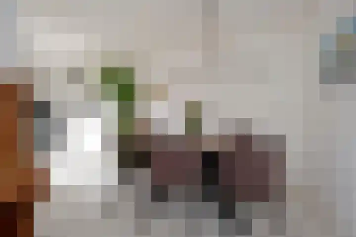 Lisdodde 80 Nieuw-Buinen thumbnail 12