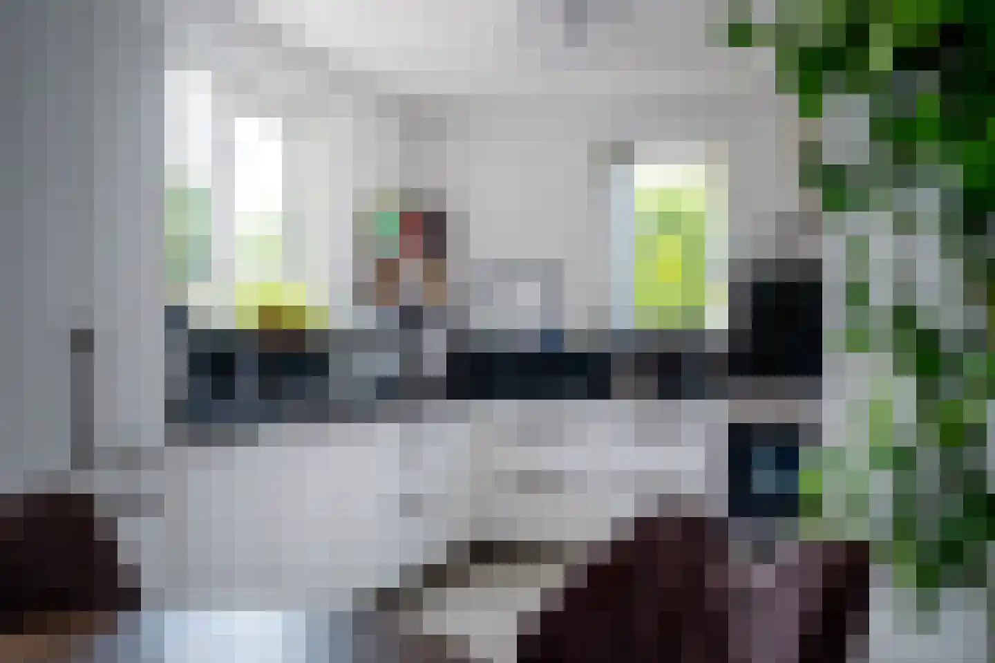 Lisdodde 80 Nieuw-Buinen thumbnail 13