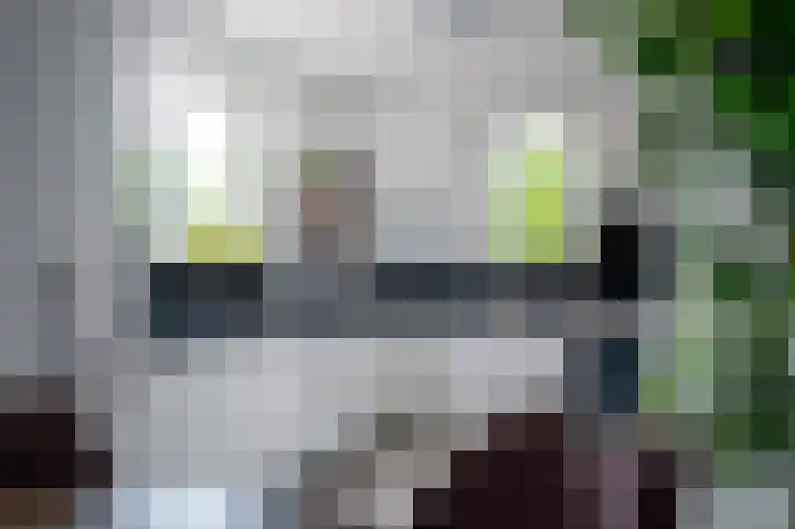 Lisdodde 80 Nieuw-Buinen thumbnail 13