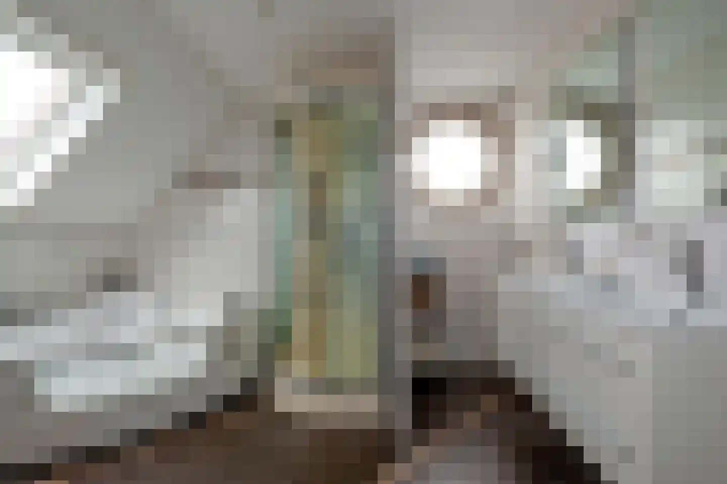Lisdodde 80 Nieuw-Buinen thumbnail 25