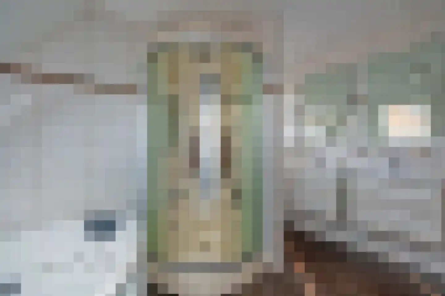 Lisdodde 80 Nieuw-Buinen thumbnail 26