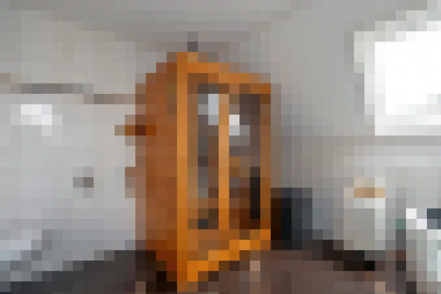 Lisdodde 80 Nieuw-Buinen thumbnail 27