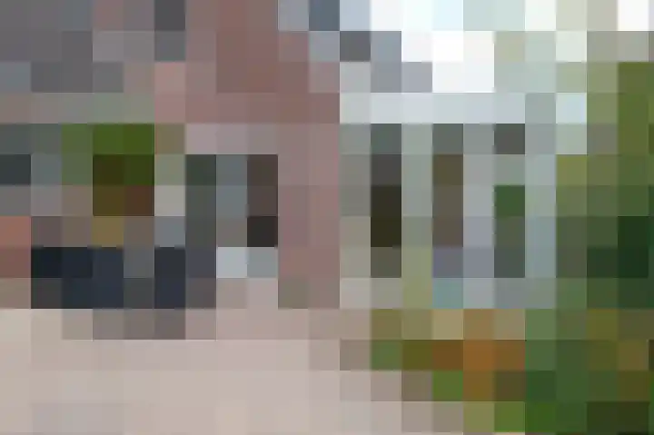 Lisdodde 80 Nieuw-Buinen thumbnail 28