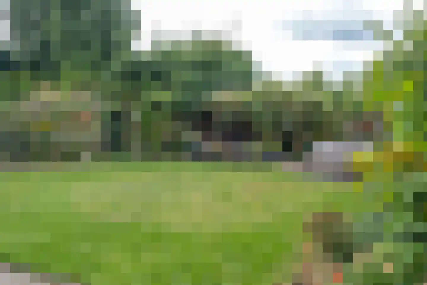 Lisdodde 80 Nieuw-Buinen thumbnail 30