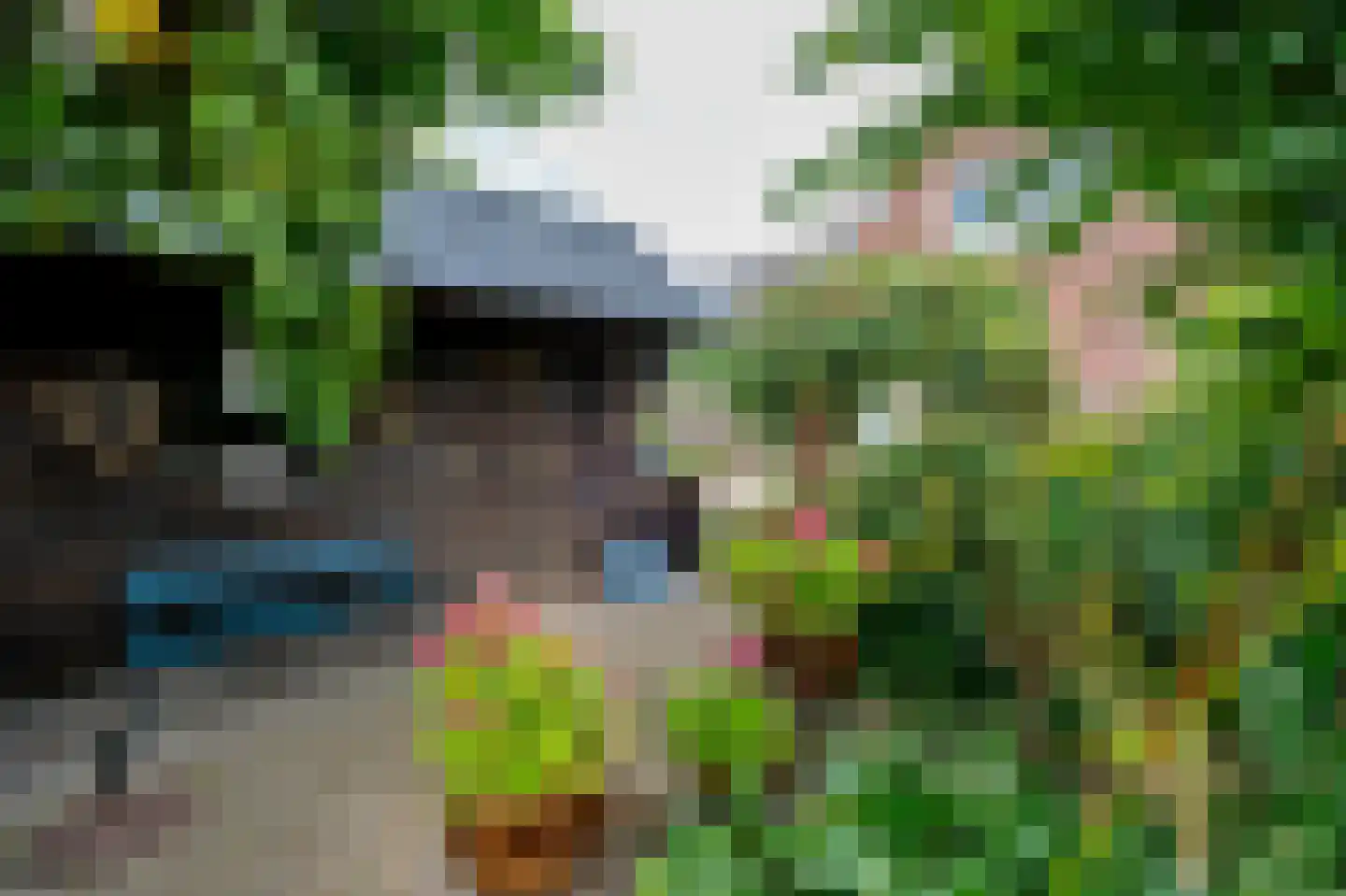 Lisdodde 80 Nieuw-Buinen thumbnail 31