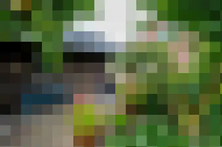 Lisdodde 80 Nieuw-Buinen thumbnail 31