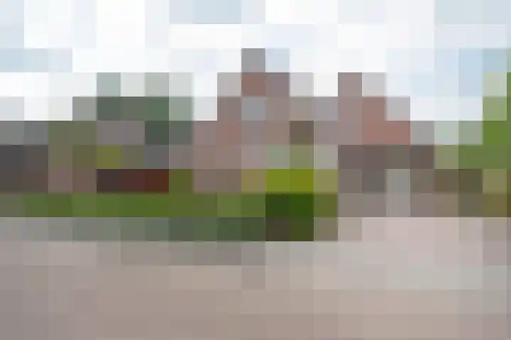 Lisdodde 80 Nieuw-Buinen thumbnail 32