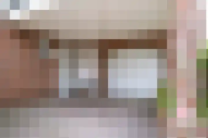 Lisdodde 80 Nieuw-Buinen thumbnail 33