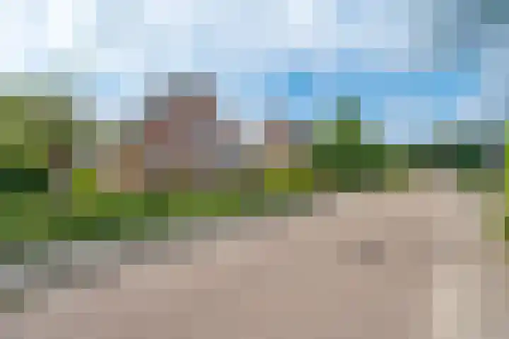 Lisdodde 80 Nieuw-Buinen thumbnail 34