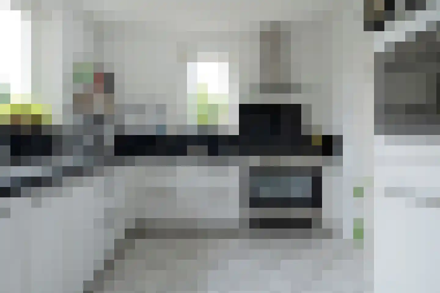 Lisdodde 80 Nieuw-Buinen thumbnail 4