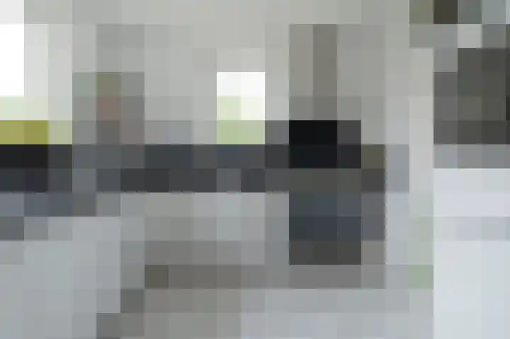 Lisdodde 80 Nieuw-Buinen thumbnail 4