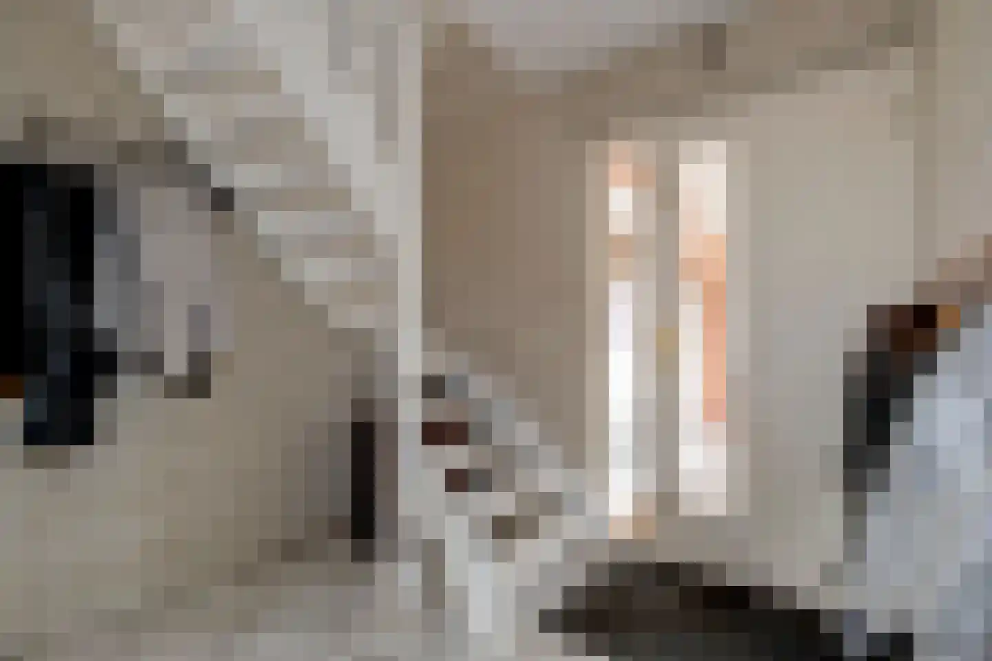 Lisdodde 80 Nieuw-Buinen thumbnail 5
