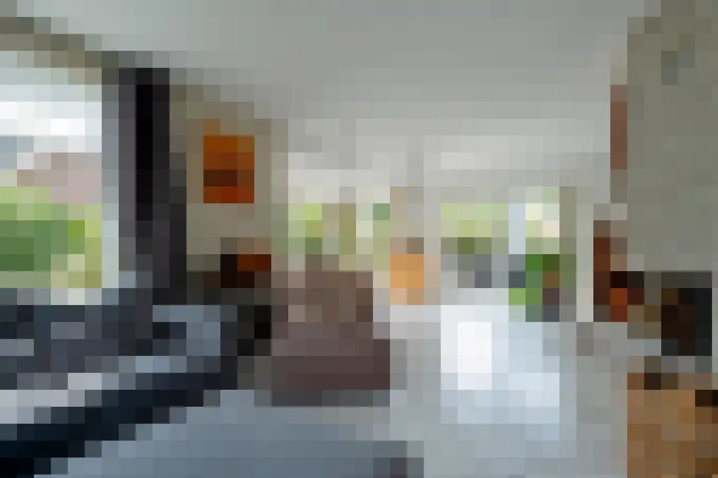 Lisdodde 80 Nieuw-Buinen thumbnail 8