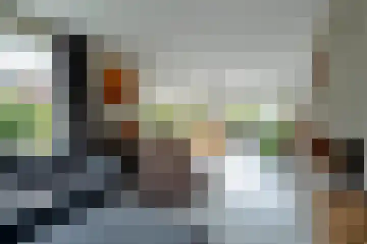 Lisdodde 80 Nieuw-Buinen thumbnail 8