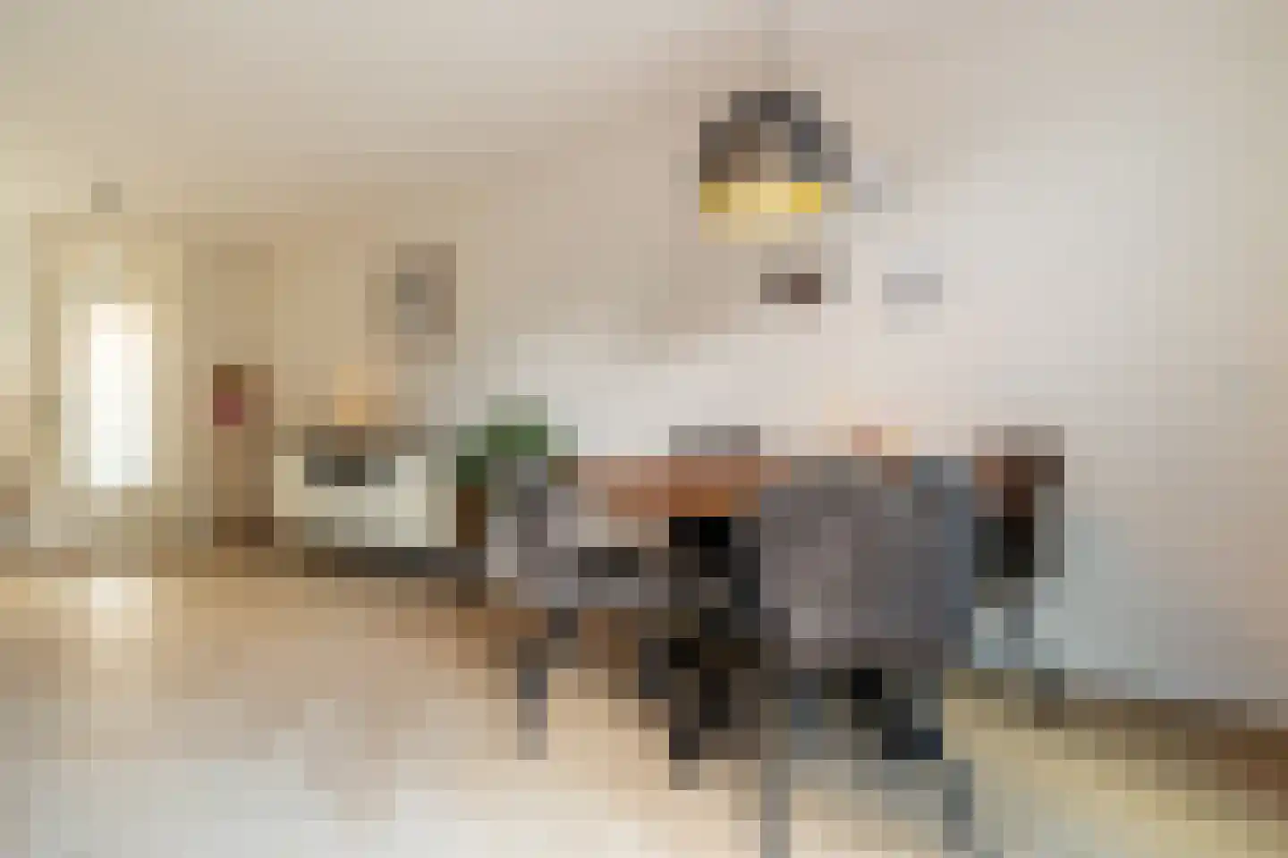 Lisdodde 84 Breda thumbnail 13
