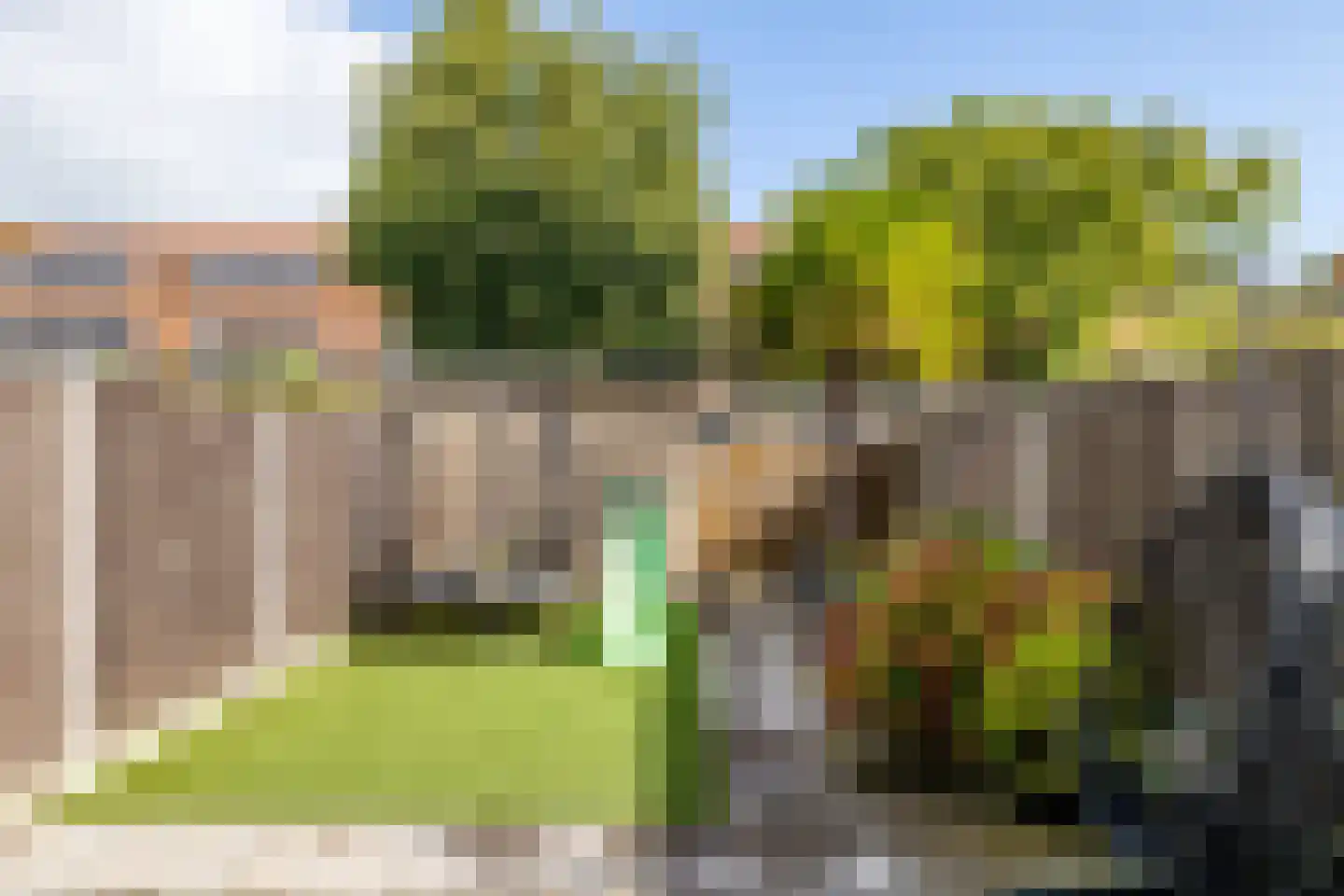 Lisdodde 84 Breda thumbnail 36